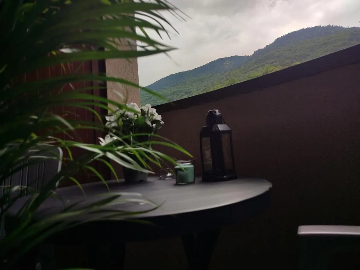 Furnished & Independant Flat - Brides-Les-Bains - Thermal Spa 50M 0*,